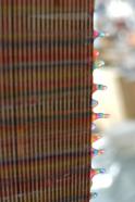 Dirk Salz, Details