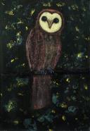 Frank Zucht, Eule frontal . 2020, Pastell auf Nessel, 38 x 26 cm