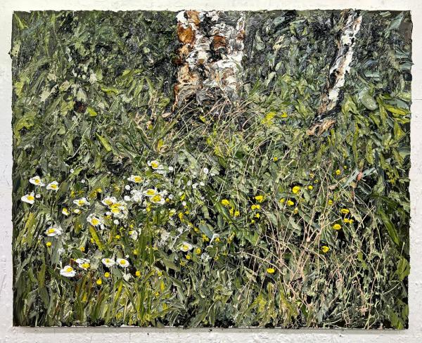 Helmut Helmes, Beet mit Birken, 2024, Öl auf Leinwand, 80 x 100 cm