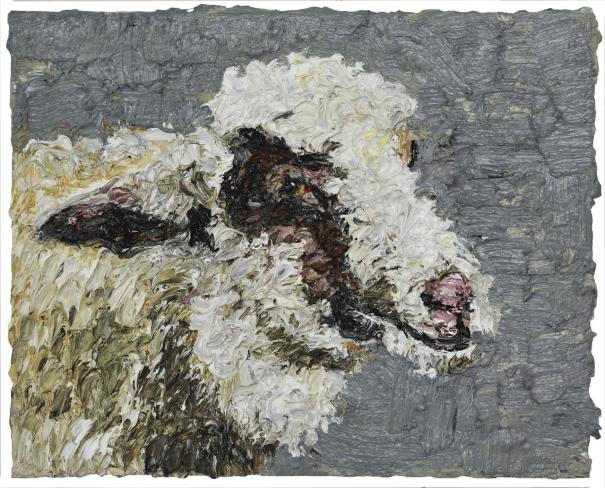Helmut Helmes, Schaf, 2020, Öl auf Leinwand, 40 x 50 cm