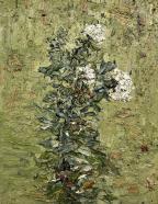 Helmut Helmes, Hortensien II, 2026, Öl auf Leinwand, 90 x 70 cm