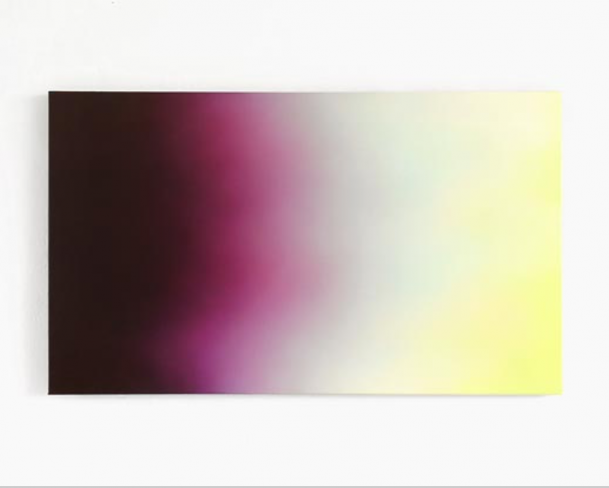 Paola Neumann, Einbruch, 2009, Öl und Acryl auf Leinwand, 65 x 110 cm