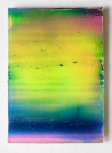 Frank Piasta, attraktiver Papagei leuchtet am Abendhimmel, 2021, Silikon und Pigmente, 30 x 21 cm