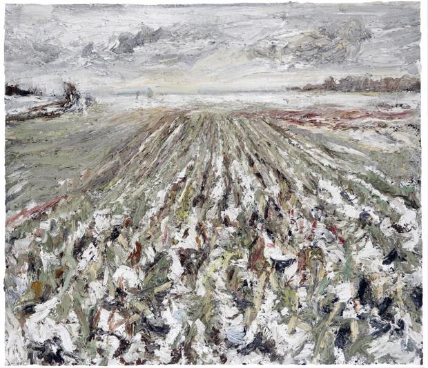 Helmut Helmes, Abgeerntet, 2013, Öl auf Leinwand, 140 x 160 cm