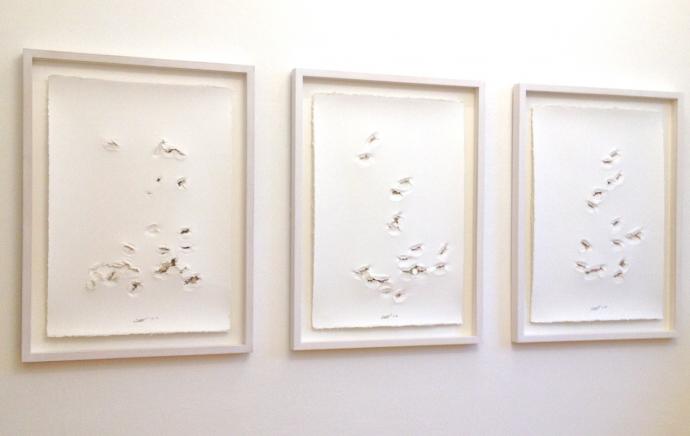 Thomas Röthel, Prägedrucke . 2014/2016, 76 x 53 cm, gerahmt 90 x 65 cm